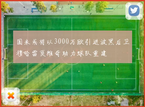 国米或将以3000万欧引进波黑后卫穆哈雷莫维奇助力球队重建